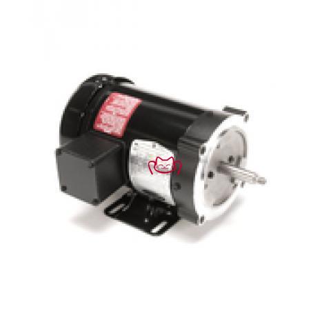 Salvajor 991061 MOTOR, PUMP TEFC 460-3