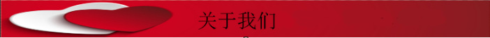 立式高溫消毒柜家用酒店學(xué)校食堂商用消毒柜雙門臭氧消毒柜