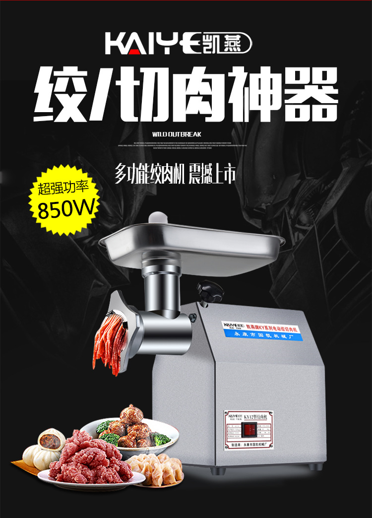 凱燕牌12型絞肉機(jī)家用商用電動(dòng)多功能碎肉機(jī)超強(qiáng)動(dòng)力