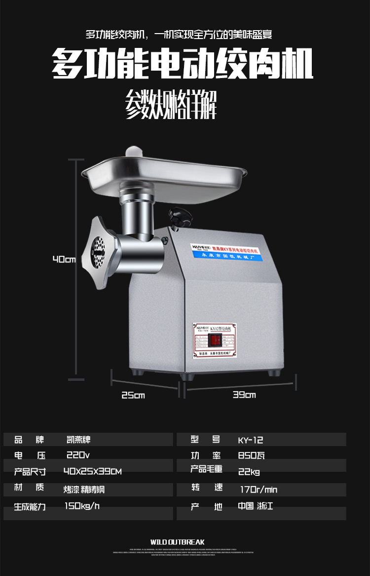 凱燕牌12型絞肉機(jī)家用商用電動(dòng)多功能碎肉機(jī)超強(qiáng)動(dòng)力