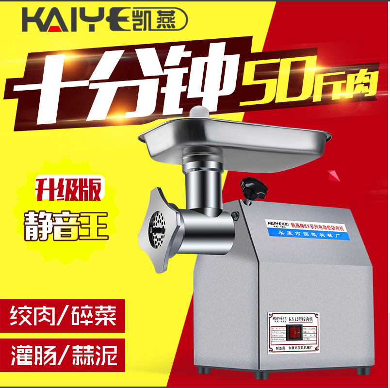 凱燕牌12型絞肉機(jī)家用商用電動(dòng)多功能碎肉機(jī)超強(qiáng)動(dòng)力