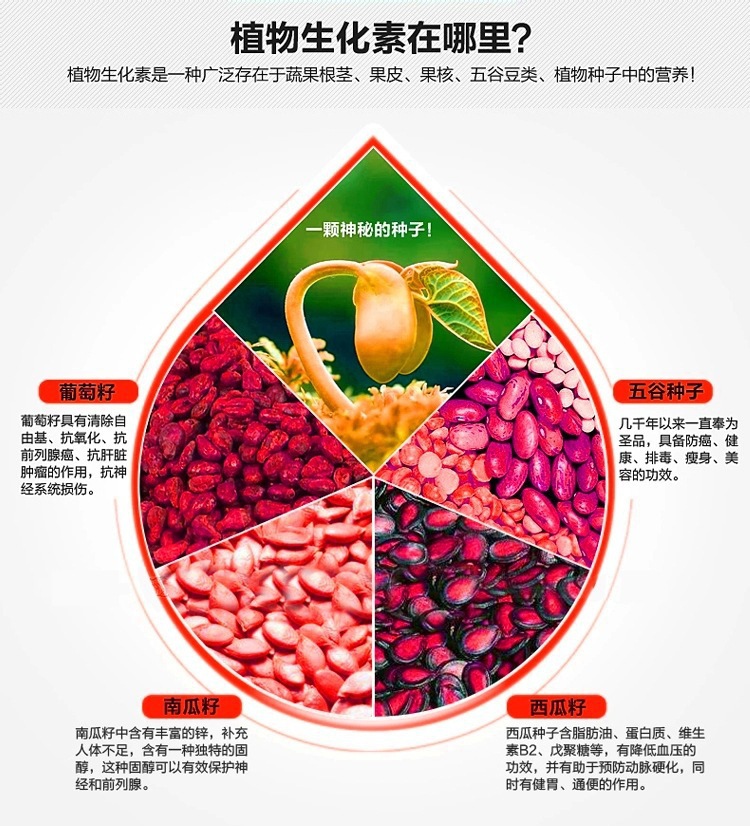 廠家萊果2200W破壁料理機奶茶店沙冰機大容量商用無渣現磨豆漿機