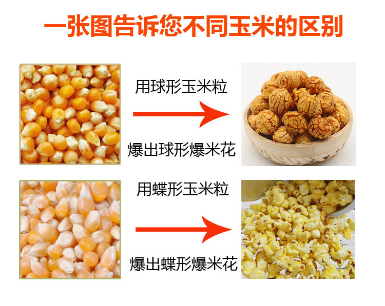 玉米的區(qū)別副本