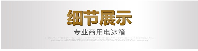 金松四門六門雙溫冰箱節能廚房家用電器商用電冰箱冷凍保鮮冰柜