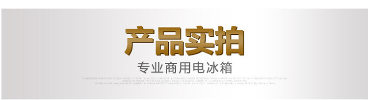 金松四門六門雙溫冰箱節能廚房家用電器商用電冰箱冷凍保鮮冰柜