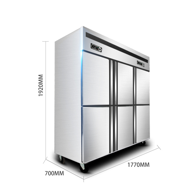 德瑪仕商用立式六門冰柜商用六門立式 展示柜 BCD-1300A 全冷凍