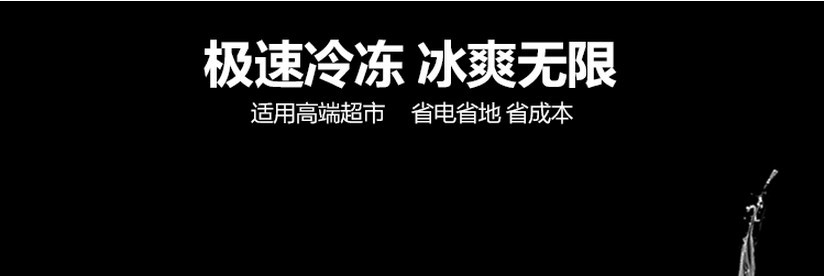 廠家直銷冰柜立式五門冷藏陳列柜 飲料展示冰箱 超市便利店保鮮柜