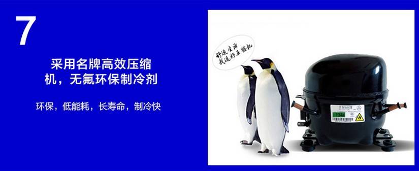 廠家直銷冰柜立式五門冷藏陳列柜 飲料展示冰箱 超市便利店保鮮柜