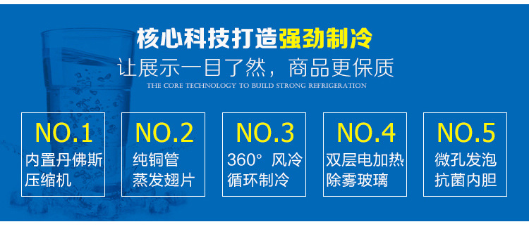 冷鮮肉凍丸子食品展示冰柜冷柜單溫風冷冷凍柜餃子柜