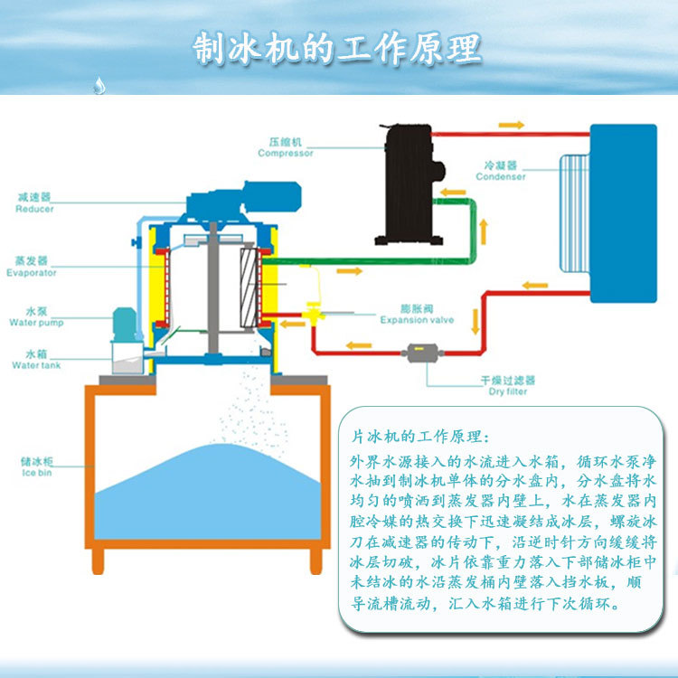 利爾LR-03T商用片冰機(jī) 300公斤小型超市火鍋店冷藏保鮮片冰制冰機(jī)