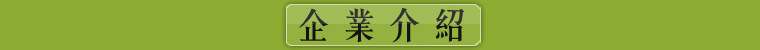 廠家直銷不銹鋼烤魚爐木炭酒精通風(fēng)烤魚爐商用諸葛燒烤爐魚盤套裝