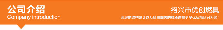 燃?xì)庠?廠家批發(fā)商用不銹鋼雙眼天然氣節(jié)能灶 酒店廚房專用灶具